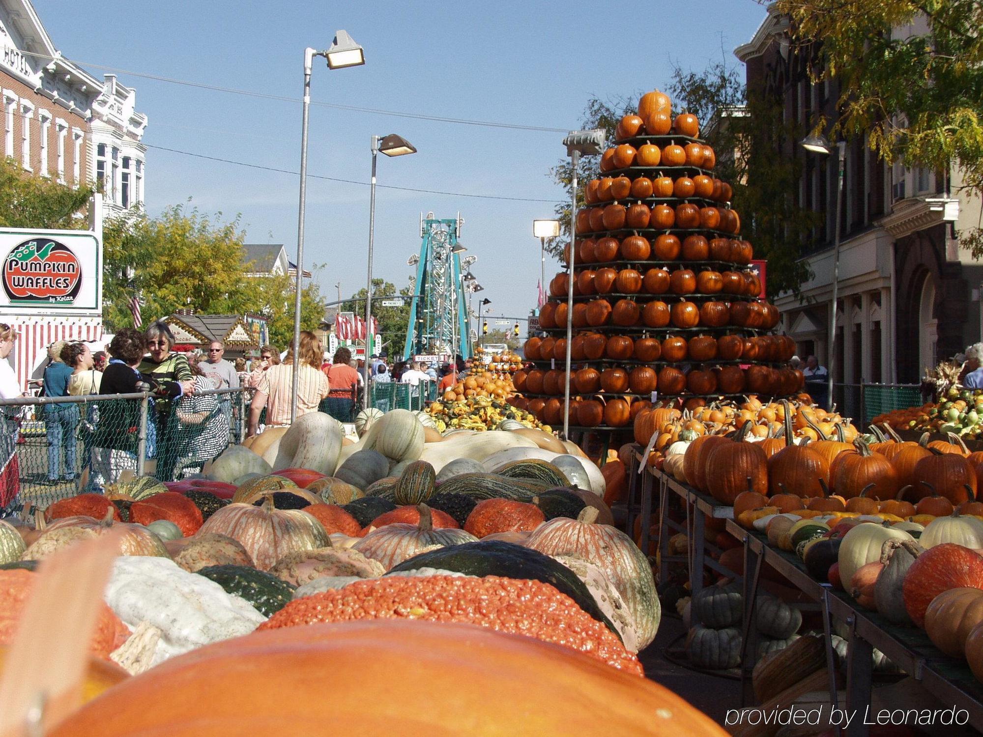 فندق وأجنحة هوليداي إن إكسبريس سيركيفيل Circleville المظهر الخارجي الصورة